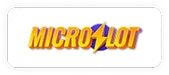 MicroSlot